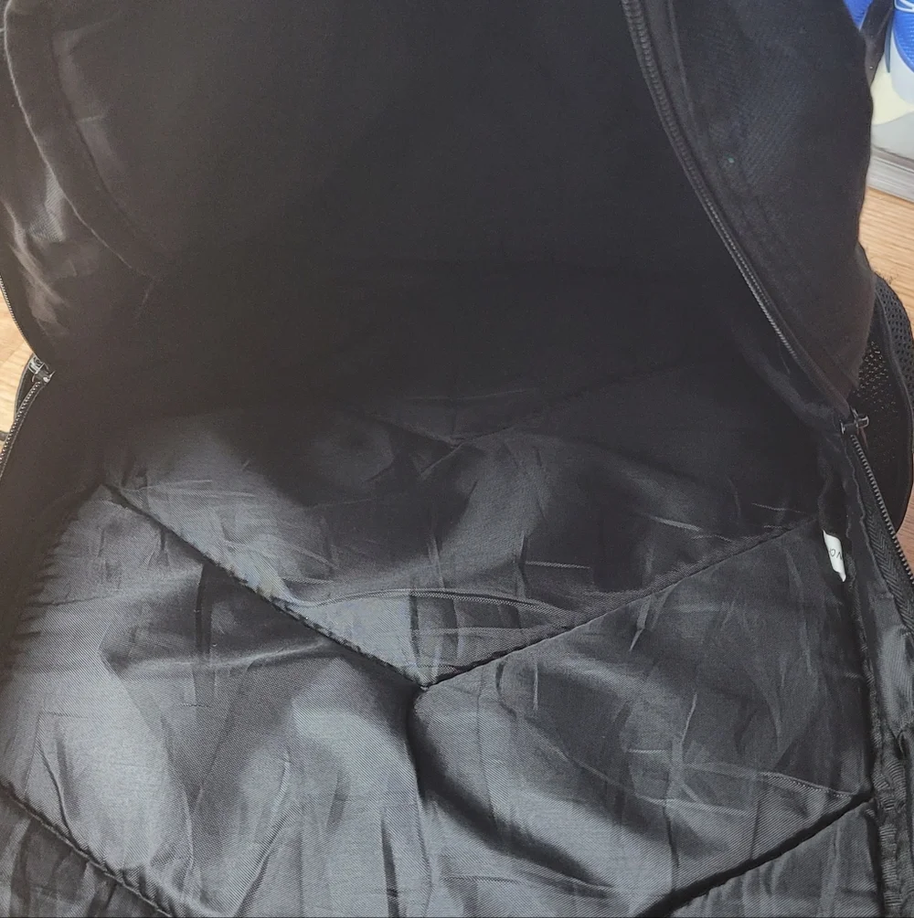 Dinosaur Graphic Black Men's Backpack